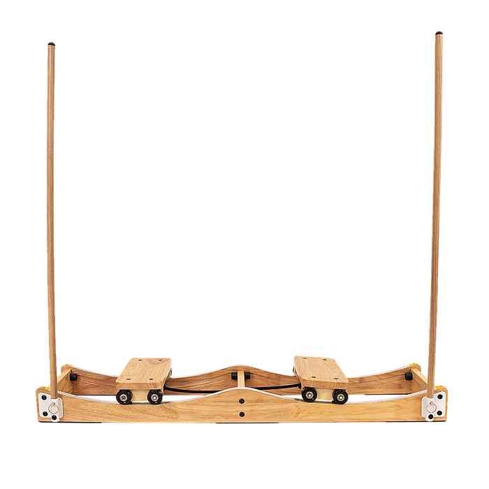 Ski Machine W/ Handrails